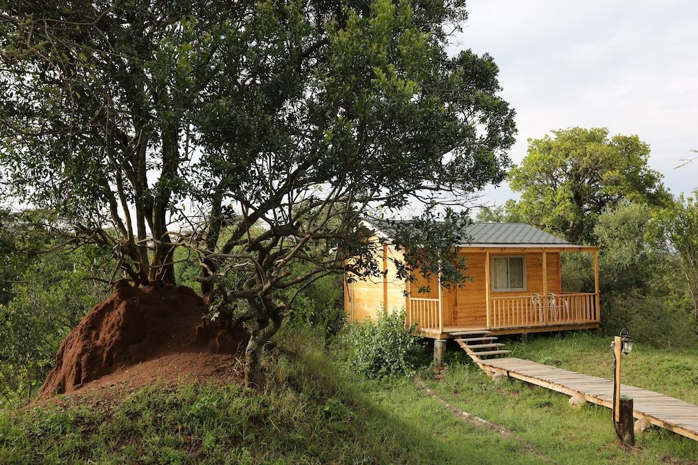 Jambo Mara Safari Lodge 3