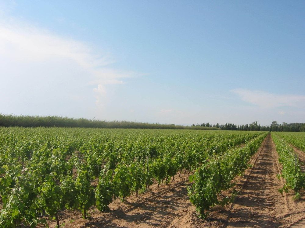 Domaine La Yole Wine Resort -1 estrellas en Vendres