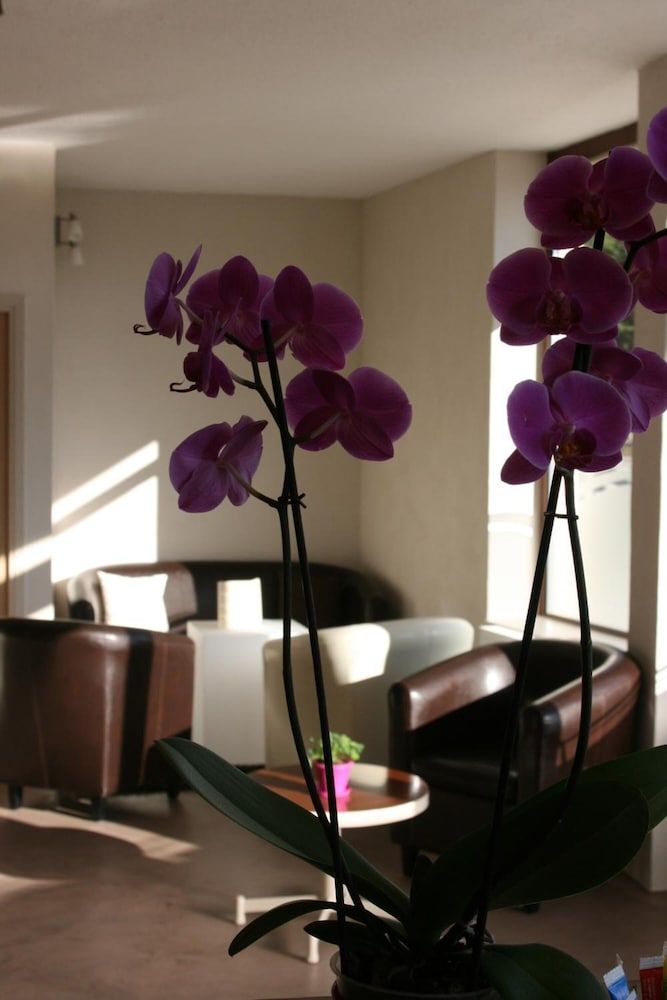 Hôtel Bel Horizon 2