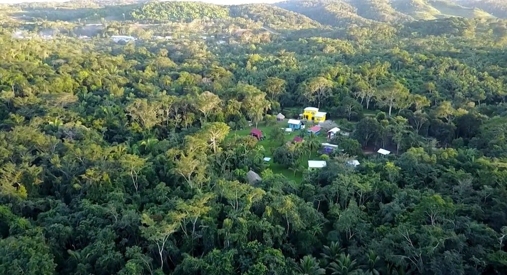 Lower Dover Jungle Lodge & Maya Ruins - Hostel -1 estrellas en Unitedville