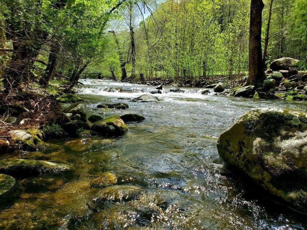 Elk Run On Cosby Creek - 2 Bedrooms, 2 Baths, Sleeps 7 Cabin by RedAwning -1 estrellas en Cosby
