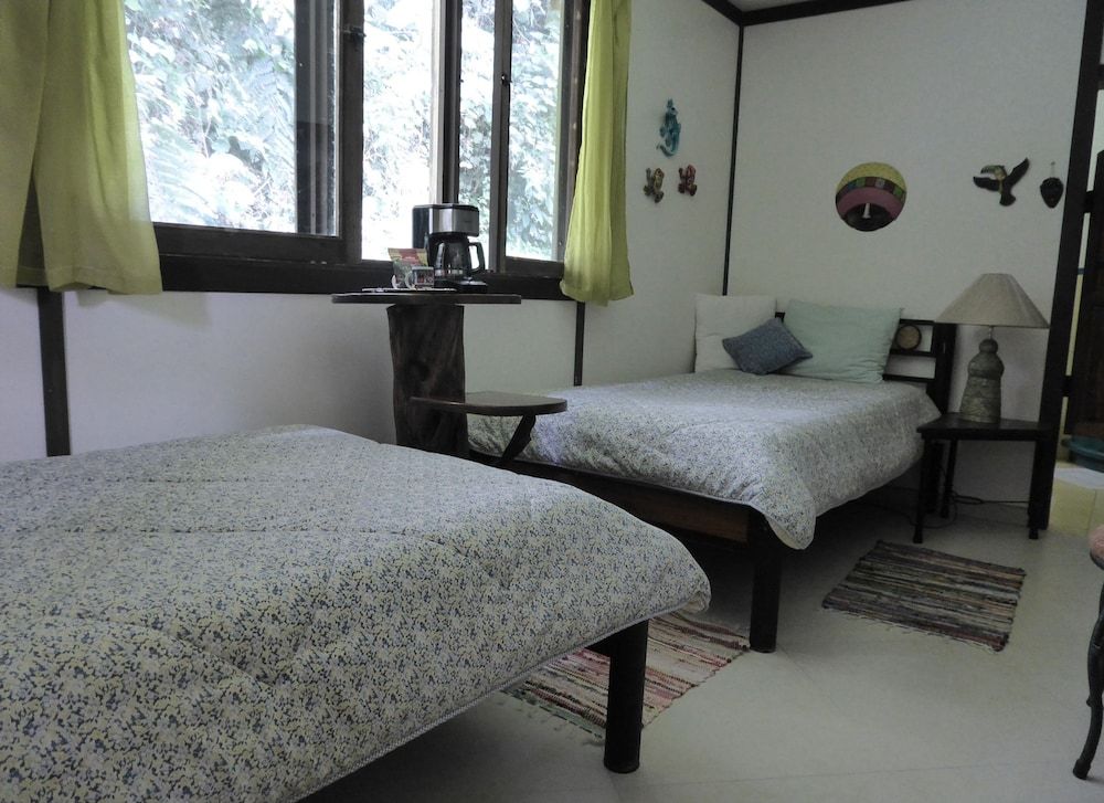 Lucky Bug B & B 3