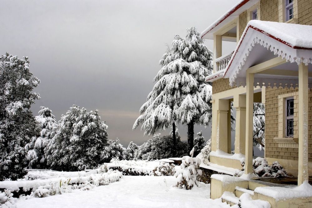 Tree of Life Grand Oak Manor, Binsar Wildlife Sanctuary 4 estrellas en Binsar