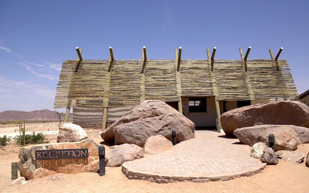 Desert Quiver Camp 3