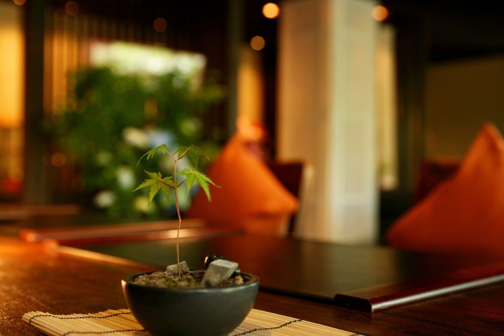 Tetsuka Ryokan 2
