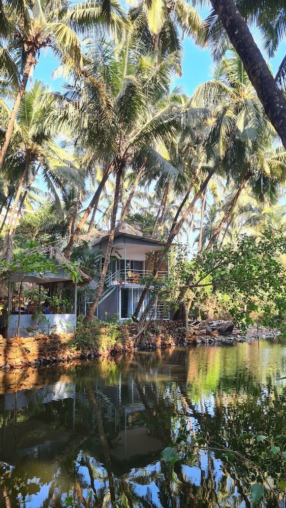 Palm Trees Ayurvedic Heritage 3