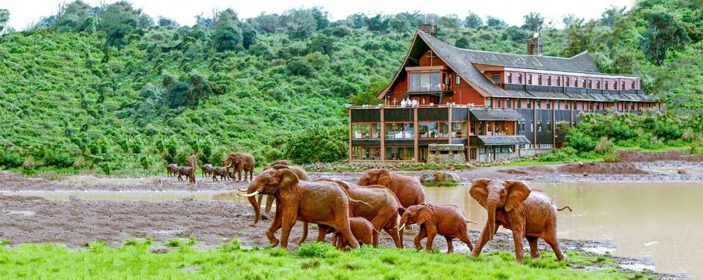 The Ark Lodge -1 estrellas en Nyeri