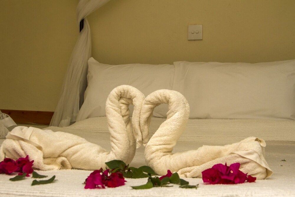 Lavender Garden Hotel 3