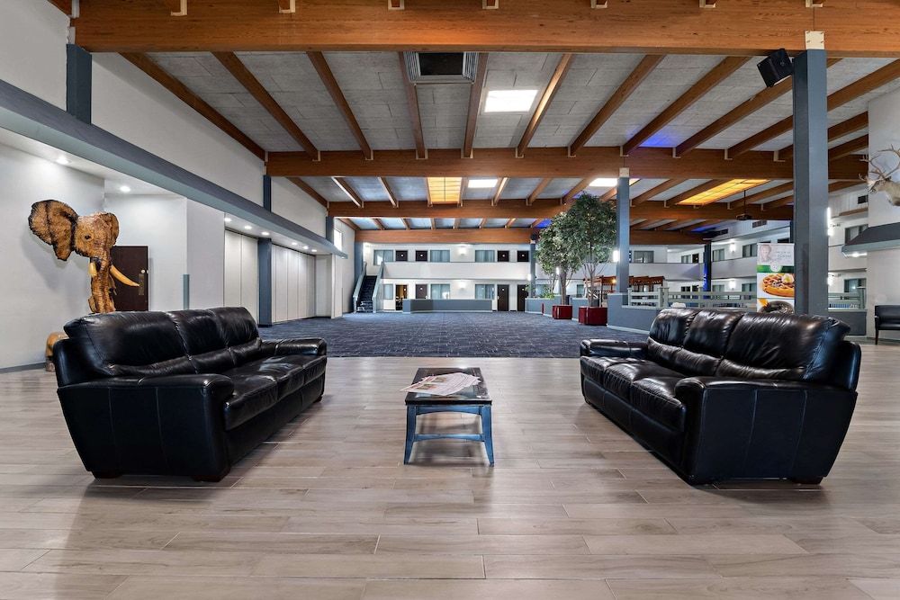 Quality Inn & Suites Craig 3