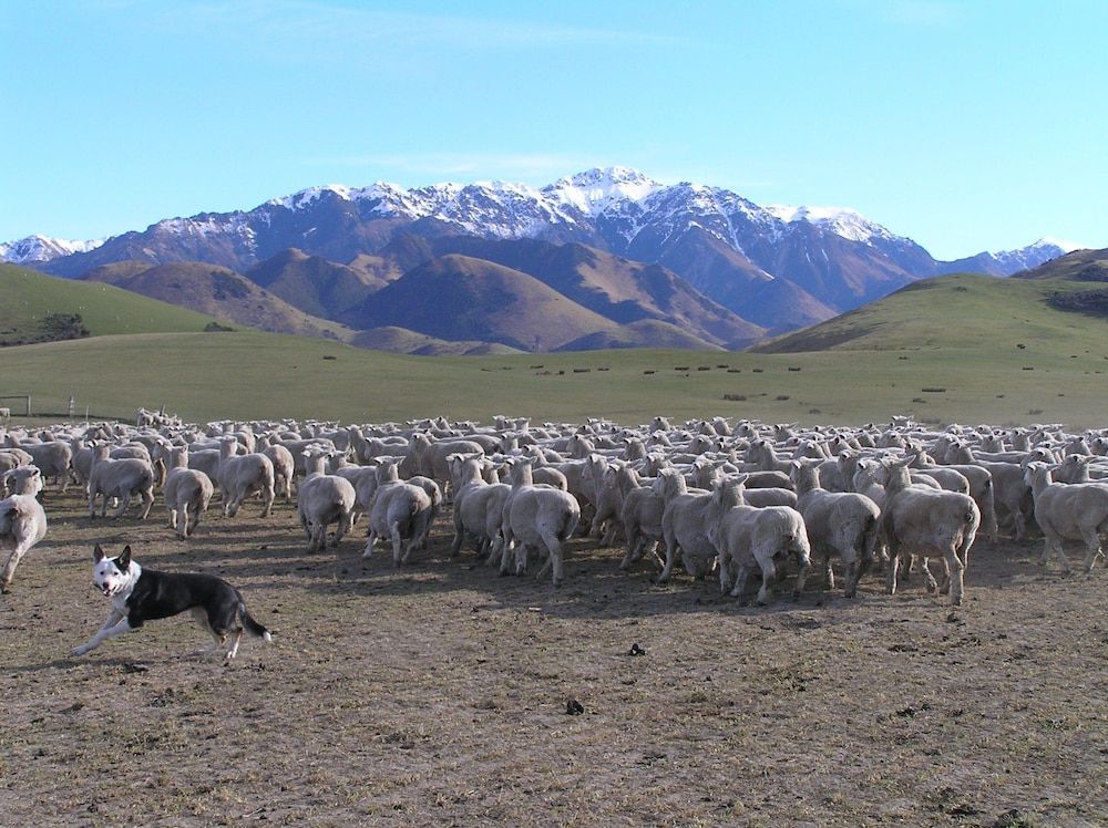 Pahau Downs High Quality Farmstay -1 estrellas en Culverden