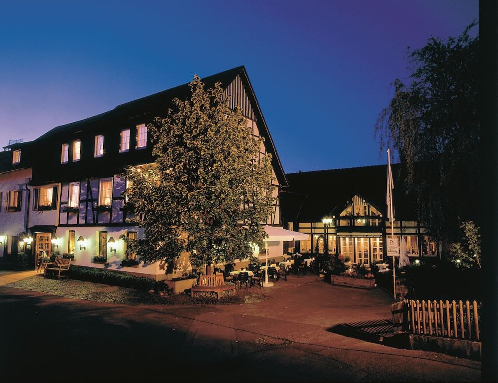 Landhotel Gasthof Willecke -1 estrellas en Sundern
