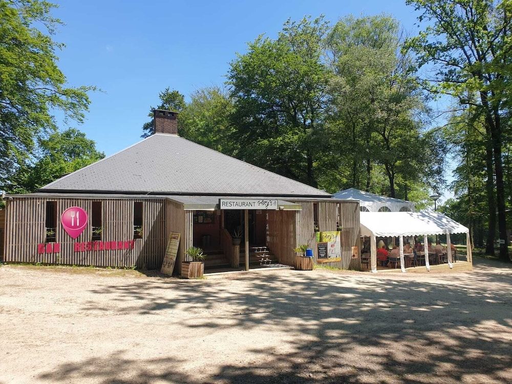 Etape en forêt 2