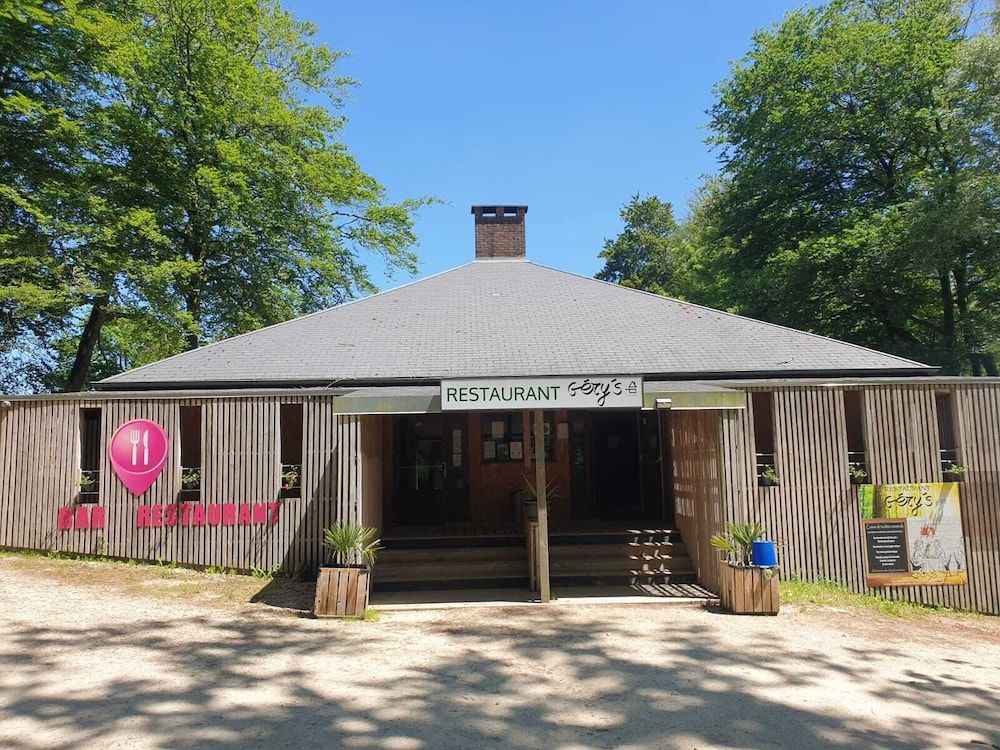 Etape en forêt 3