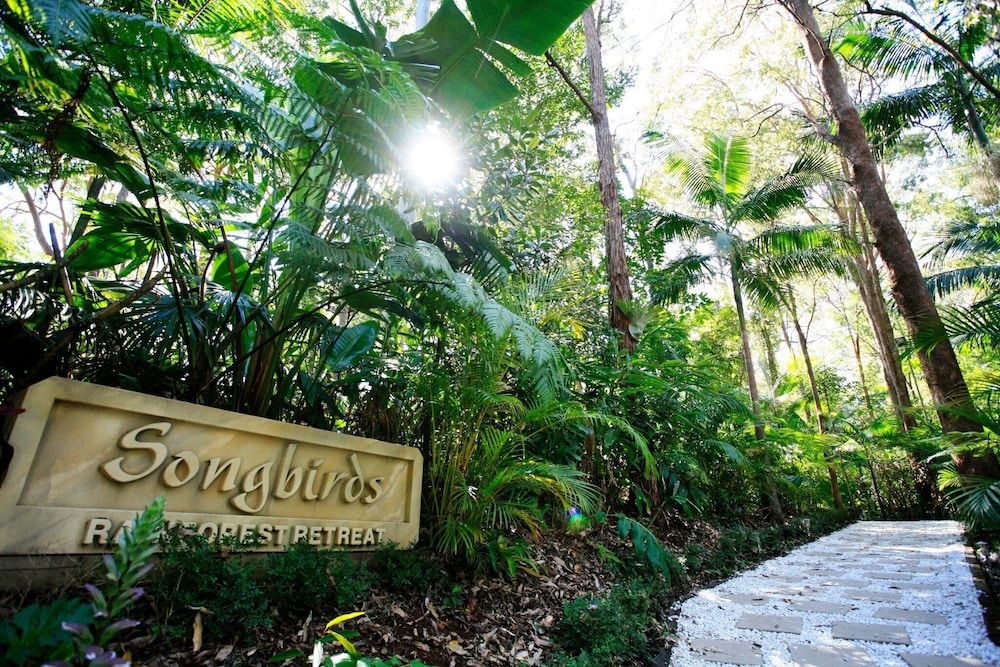 Songbirds Rainforest Retreat -1 estrellas en Mount Tamborine
