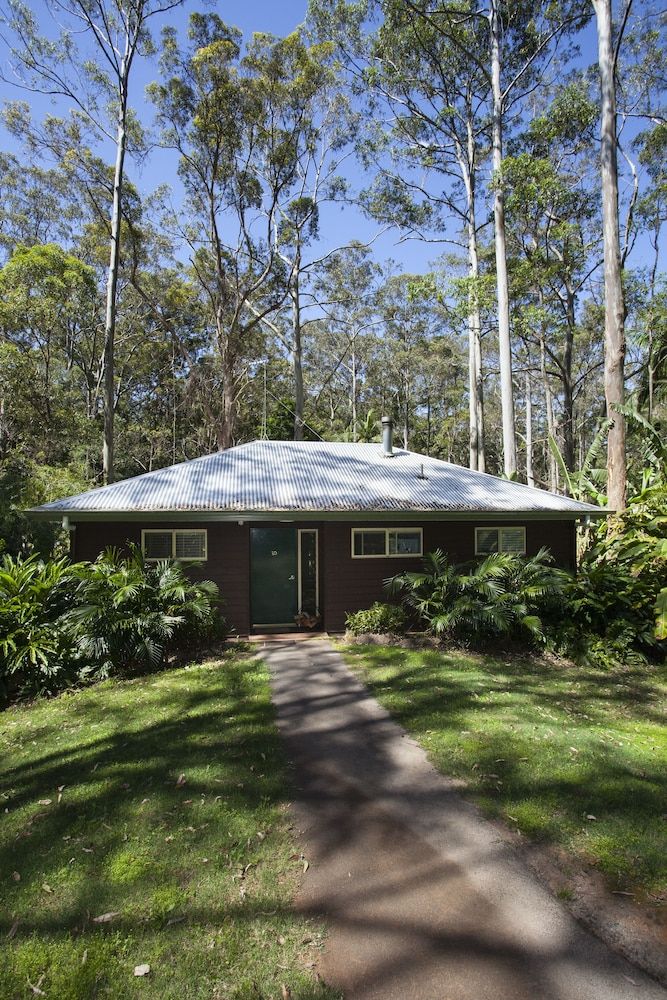 Songbirds Rainforest Retreat 3