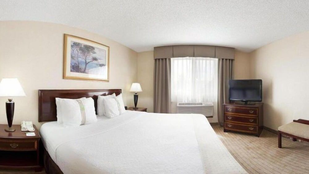 Holiday Inn & Suites Chicago-Carol Stream (Wheaton) by IHG 3