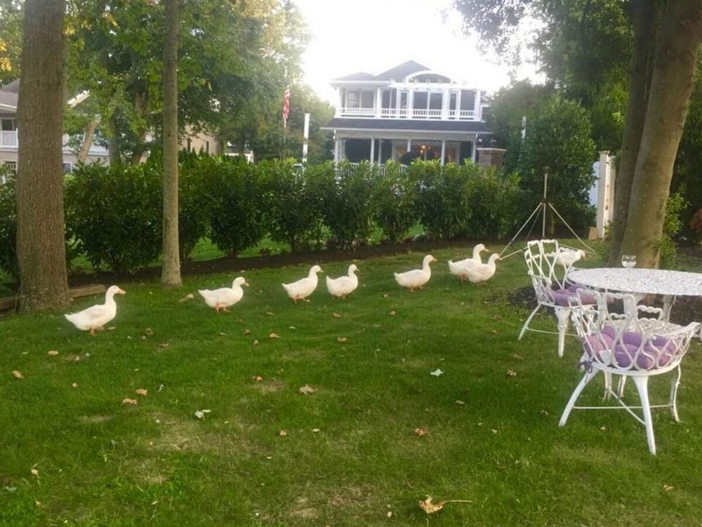 Walden on the Pond Hotel -1 estrelas em Spring Lake