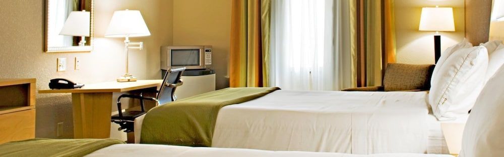Holiday Inn Express & Suites Borger by IHG 2