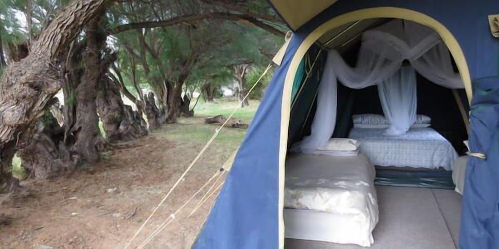 Karoo Gariep Tented Camp 2