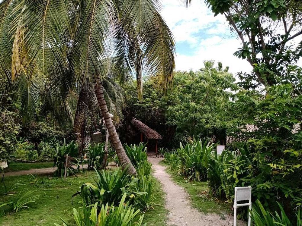 Las Palmeras 2