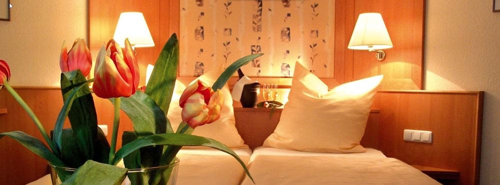 Hotel Louis Müller 2