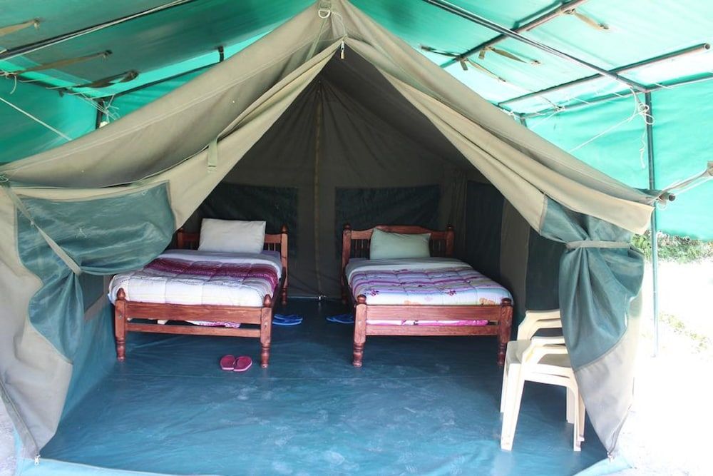 Cactus Eco Camp and Lodge 3