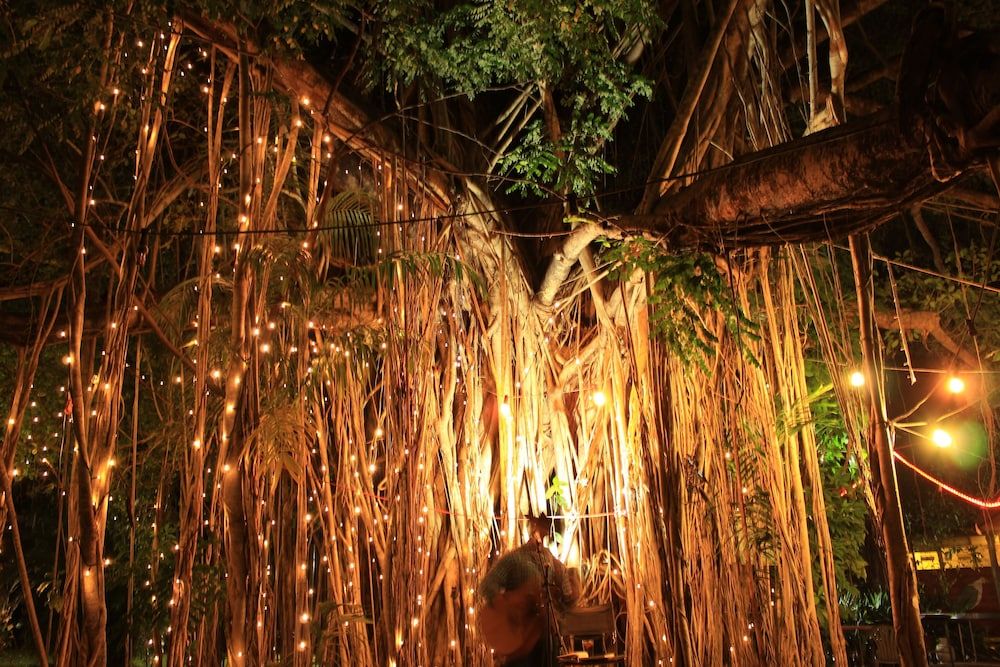 Banyan Tree Resort - Campsite -1 estrellas en Batchelor