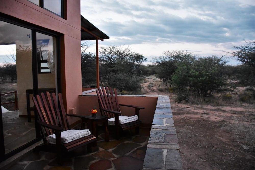 Cheetah View 3