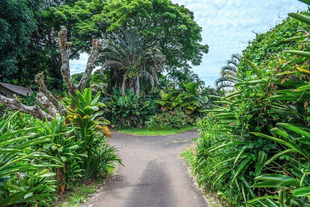 Gingerhill Farm Retreat -1 estrellas en Kealakekua