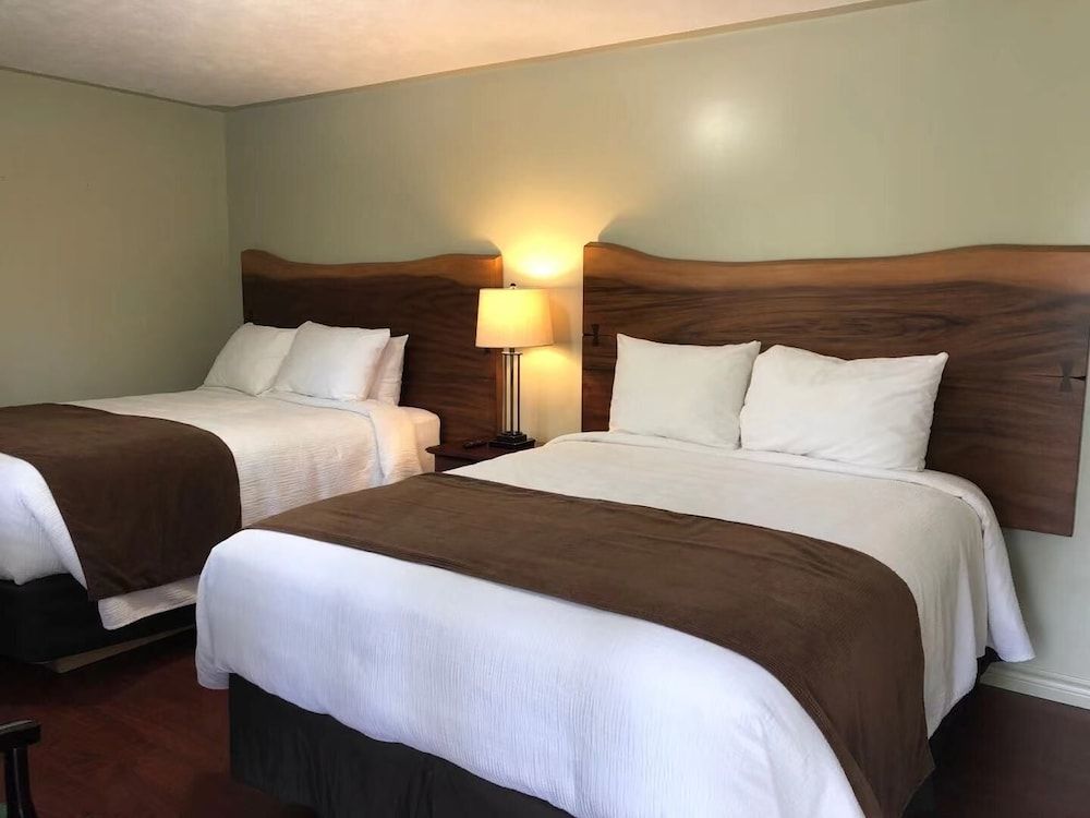 Adventure the Bruce Inn - Recently Renovated With Outdoor Hot Tub 2