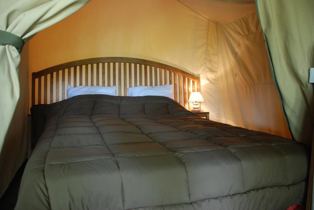 Camping les Tournesols 3