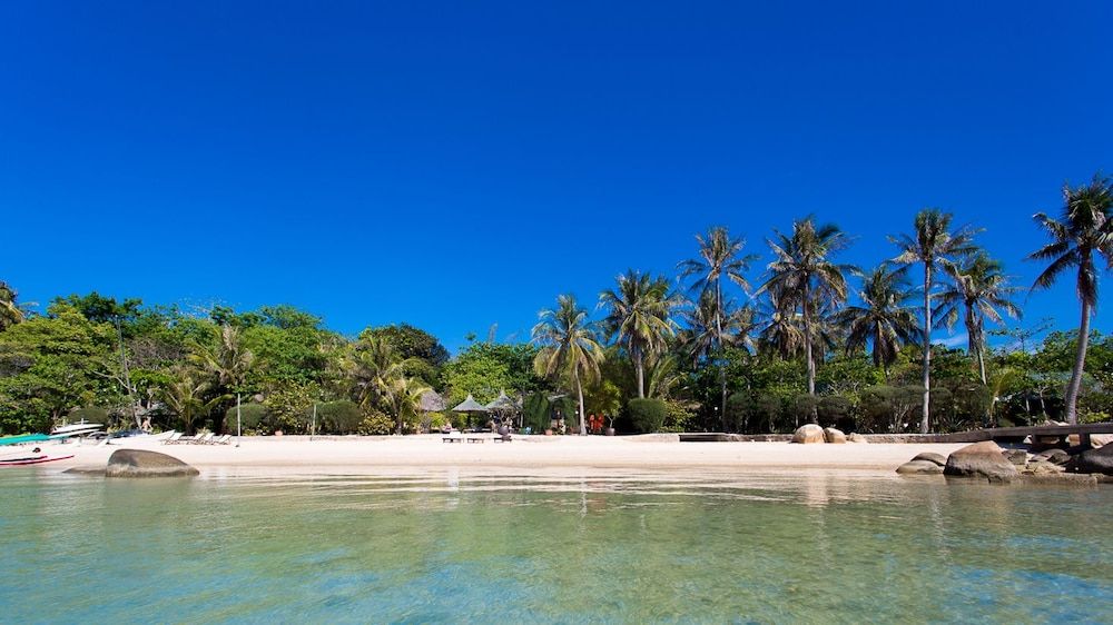 Whale Island Resort 2