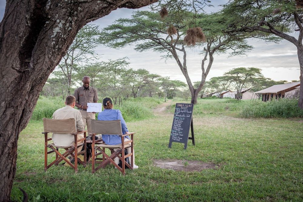 Gnu Ndutu Camp 3