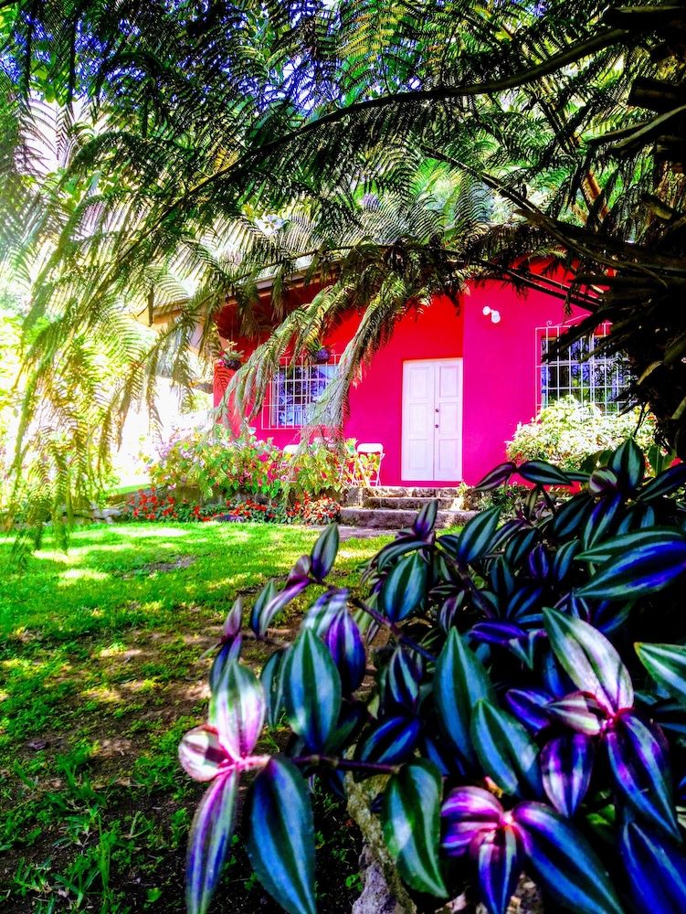 Pink house -1 estrellas en San Lucas Tolimán