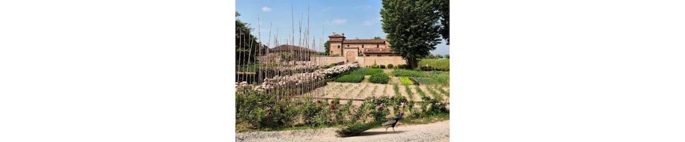 Antica Corte Pallavicina -1 estrellas en Polesine Parmense