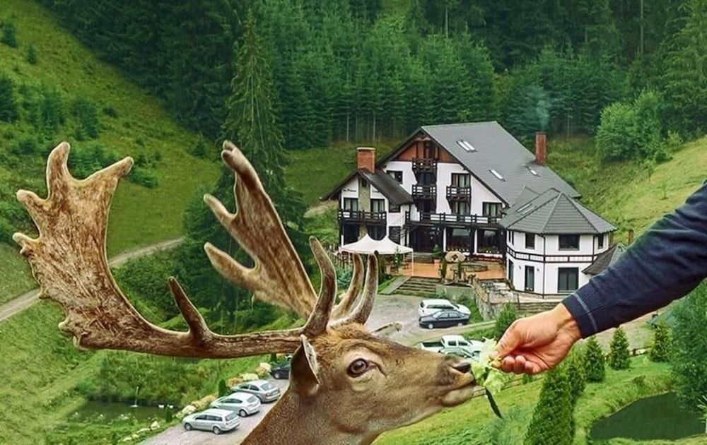 Pensiunea Poiana Izvoarelor -1 estrellas en Vatra Dornei