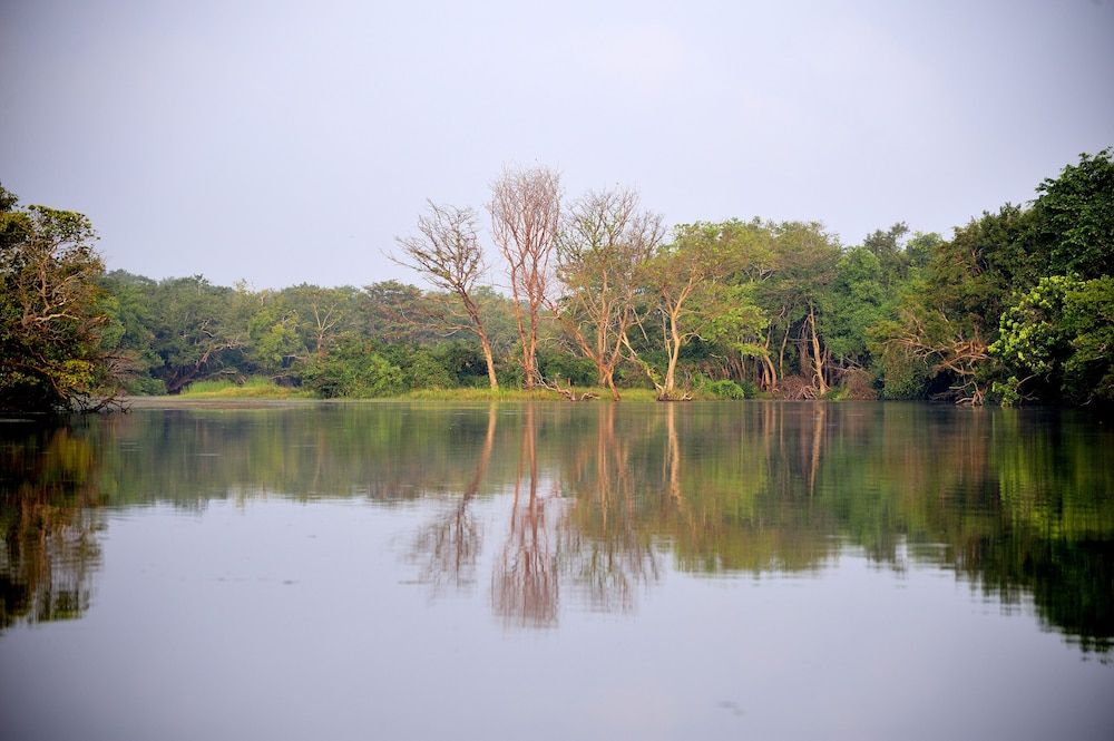 The Backwaters -1 estrellas en Wilpattu