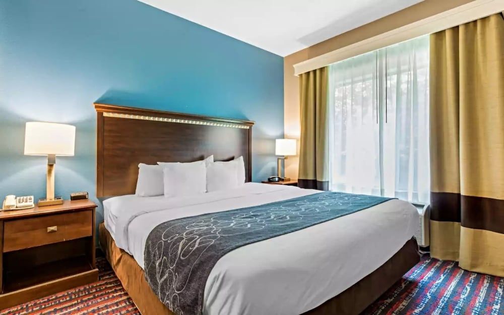 Comfort Suites Fairview Heights - St. Louis 3