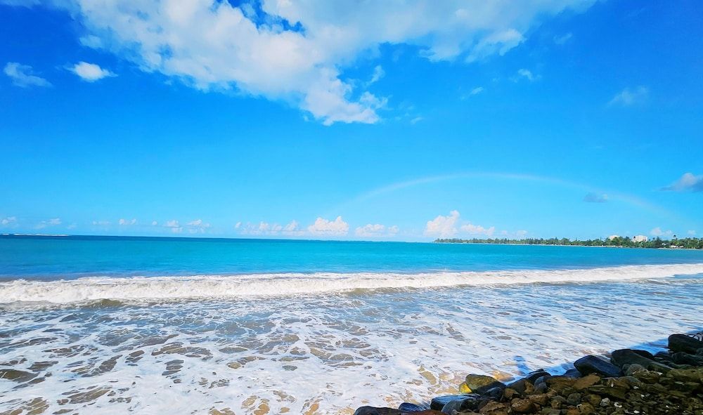 Selva Boutique Hotel - Luquillo Oceanfront Retreat - Adults only 4 estrellas en Luquillo