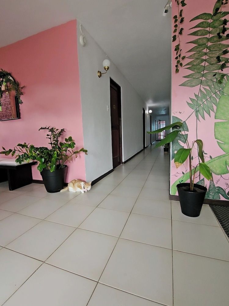 Selva Boutique Hotel - Luquillo Oceanfront Retreat - Adults only 2