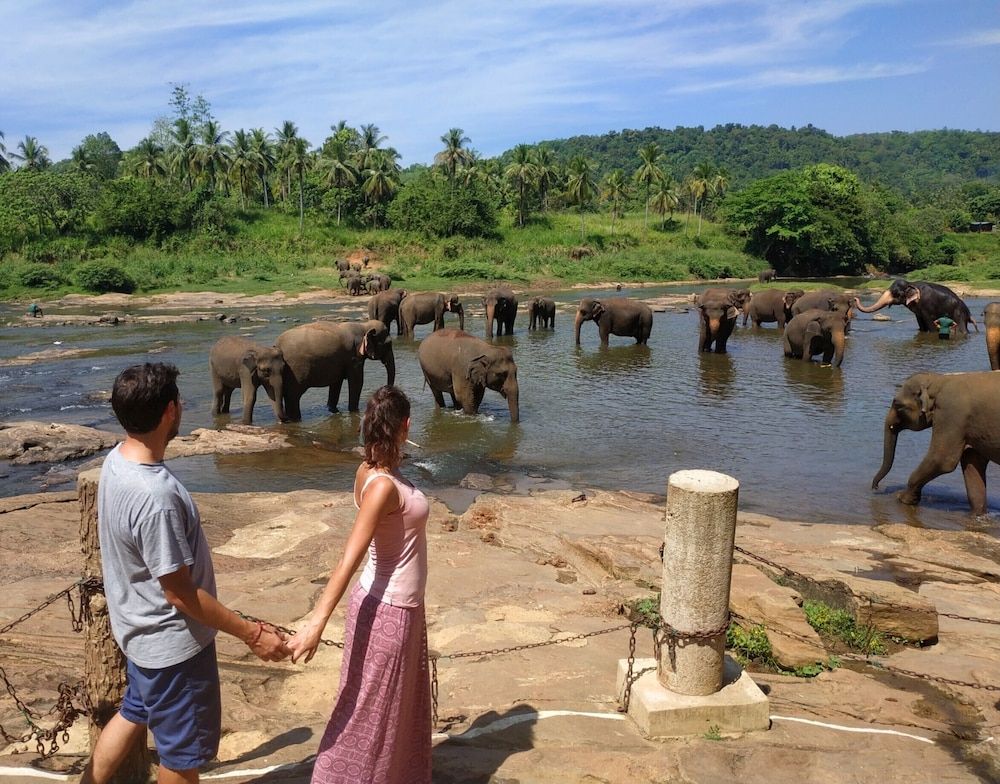 Hotel Elephant Park 3 stelle a Pinnawala