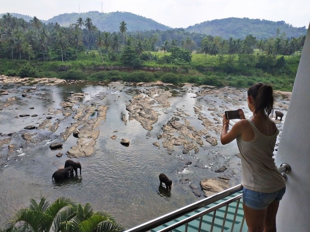 Hotel Elephant Park 3