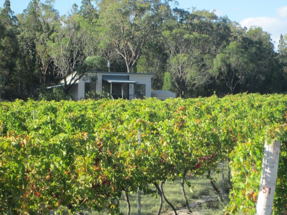 Just Red Wines Vineyard Cabins 2