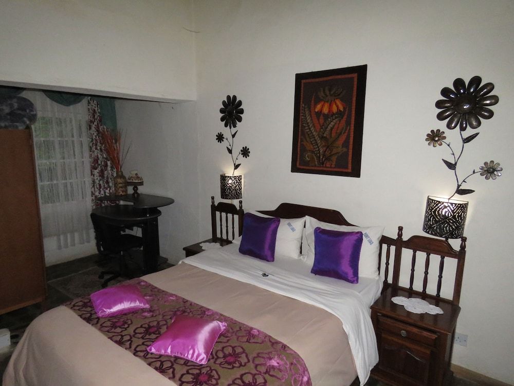Parrot Lodge 3