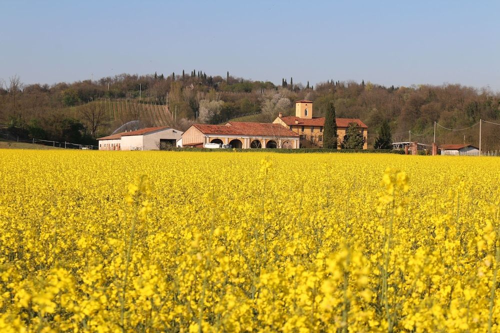 Agriturismo Tenuta Le Sorgive -1 étoiles à Solférino