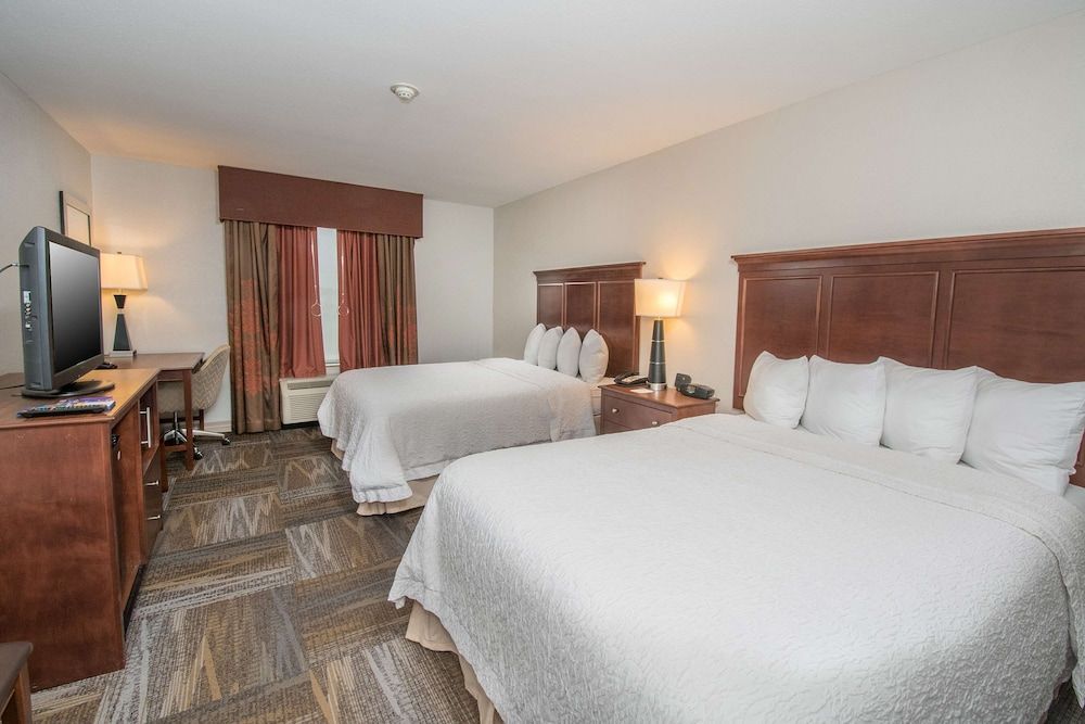 Hampton Inn & Suites Selma-San Antonio-Randolph AFB Texas 3