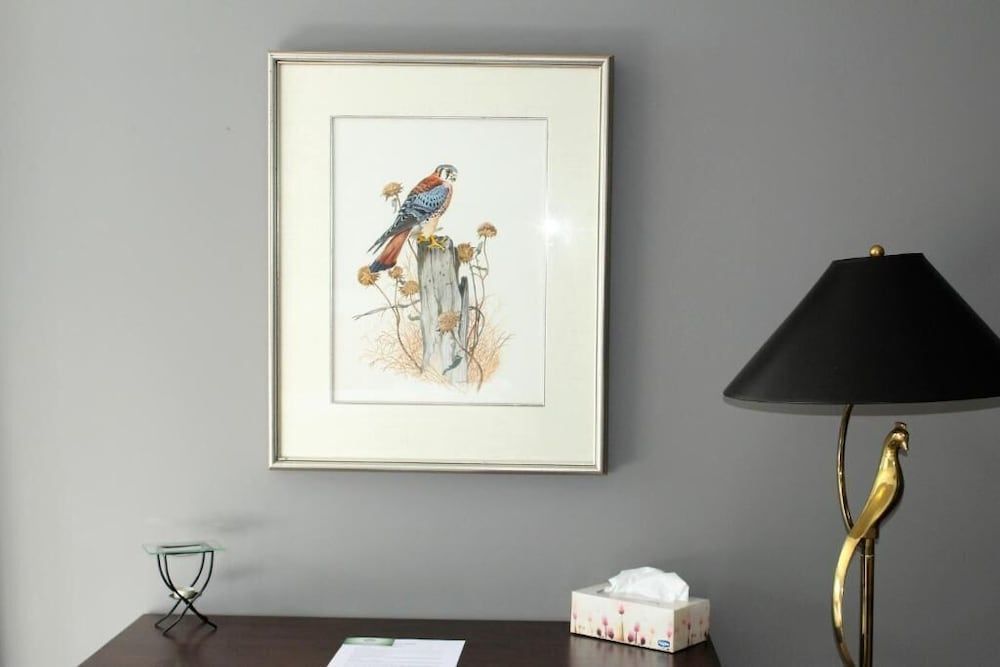 Tailwinds B&B 3