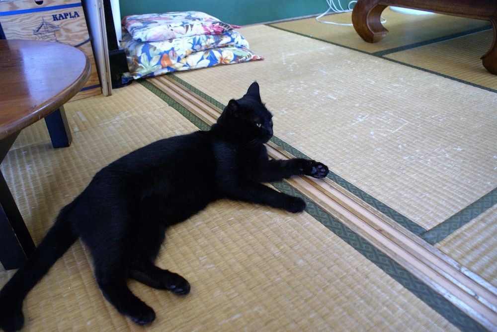 Guest House Agaihama 3
