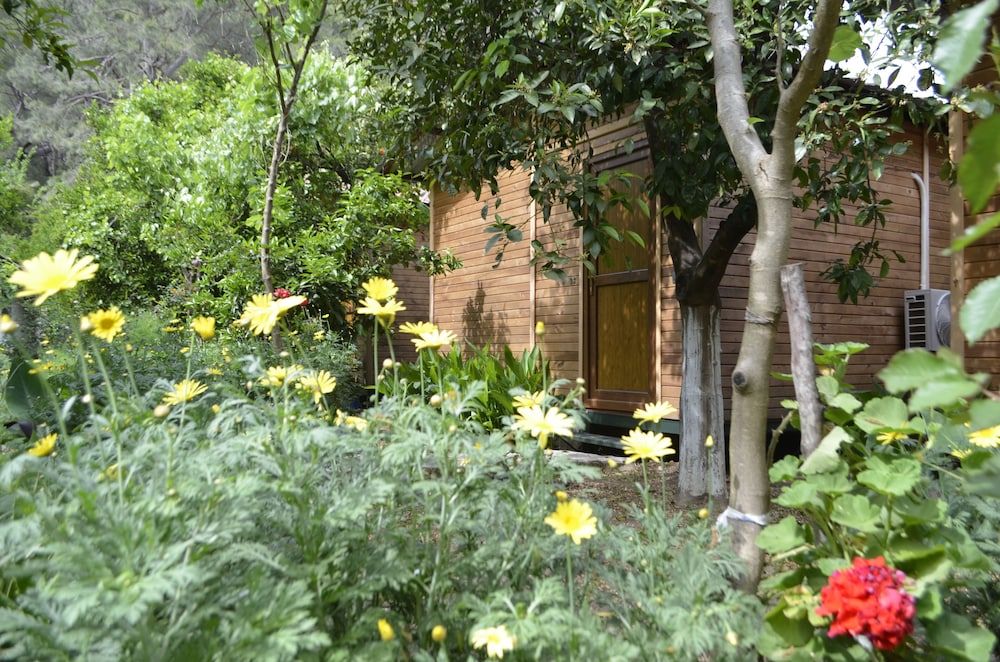 Olympos Mercan Bungalow 3