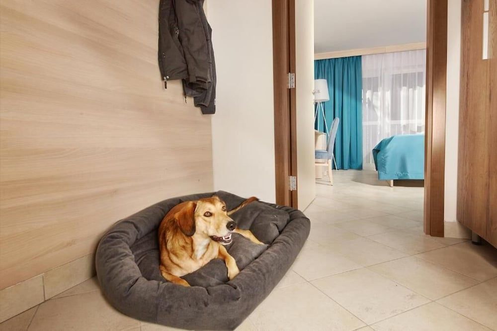 Villas - Hotel & Resort Adria Ankaran 3